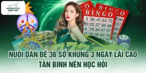 Nuôi Dàn Đề 36 Số Khung 3 Ngày Lãi Cao Tân Binh Nên Học Hỏi
